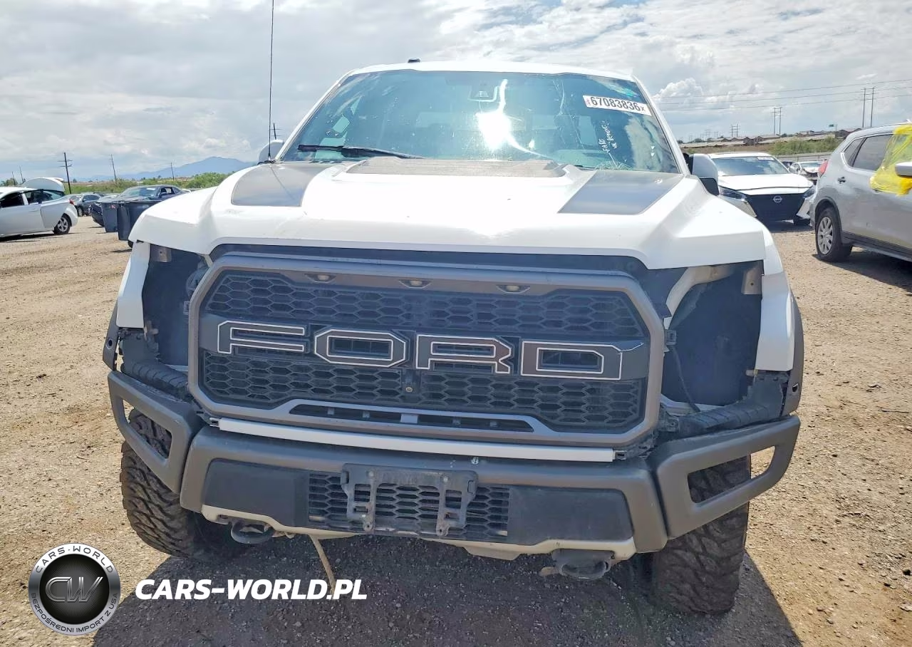2018 Ford F150 Raptor VIN:1FTFW1RG5JFB45385 - 5