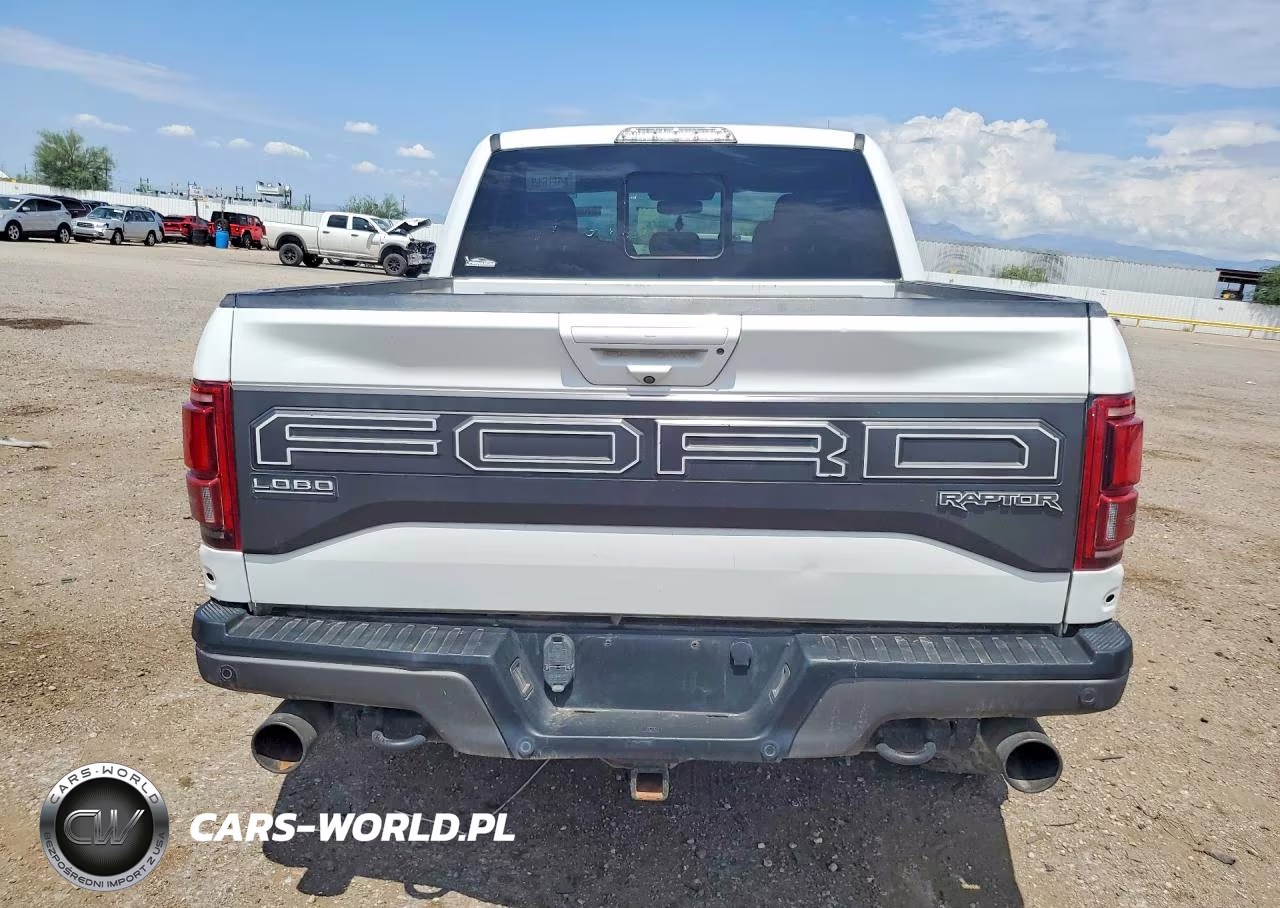 2018 Ford F150 Raptor VIN:1FTFW1RG5JFB45385 - 6