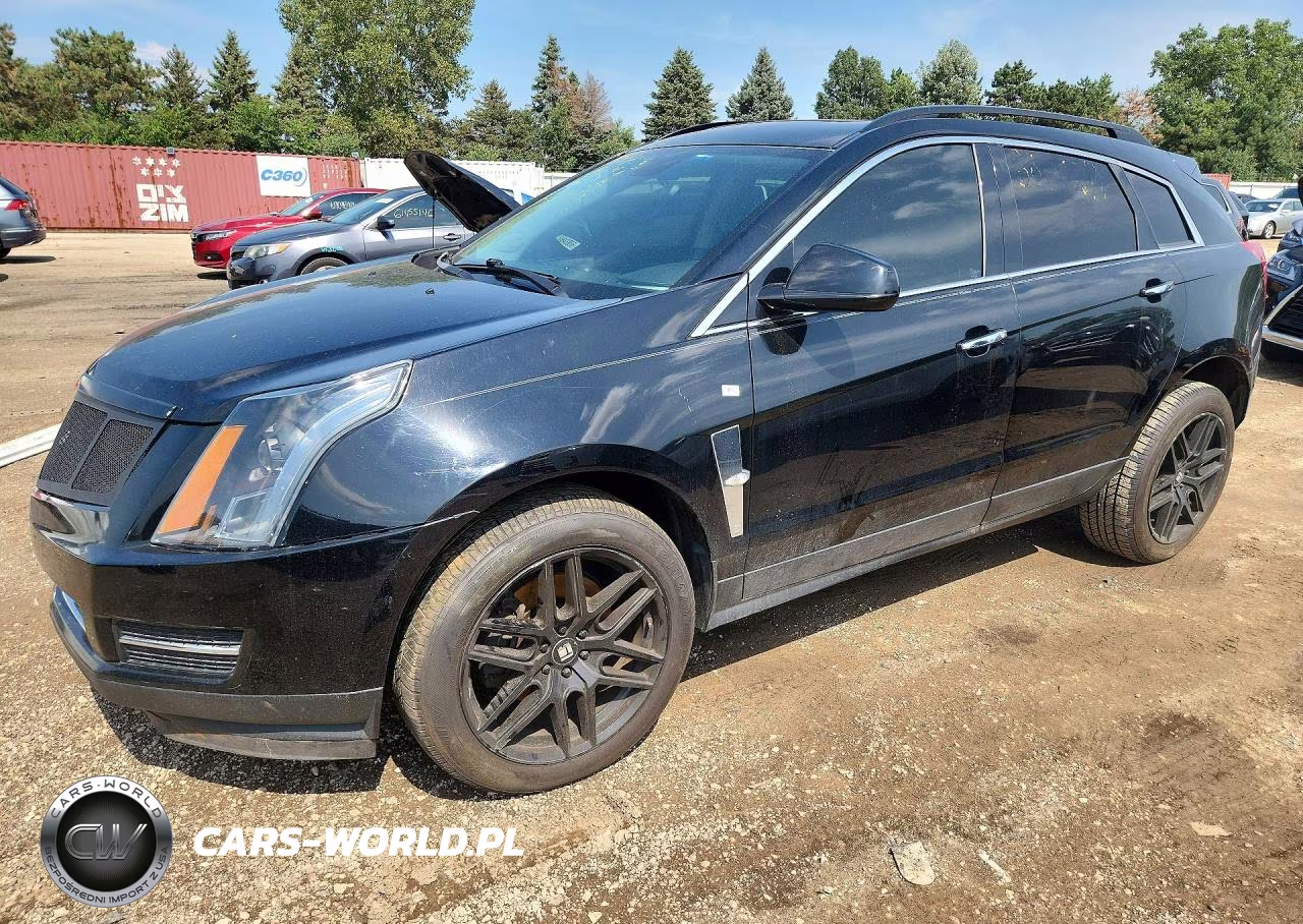 2010 Cadillac Srx VIN:3GYFNGEY9AS619283 - 1