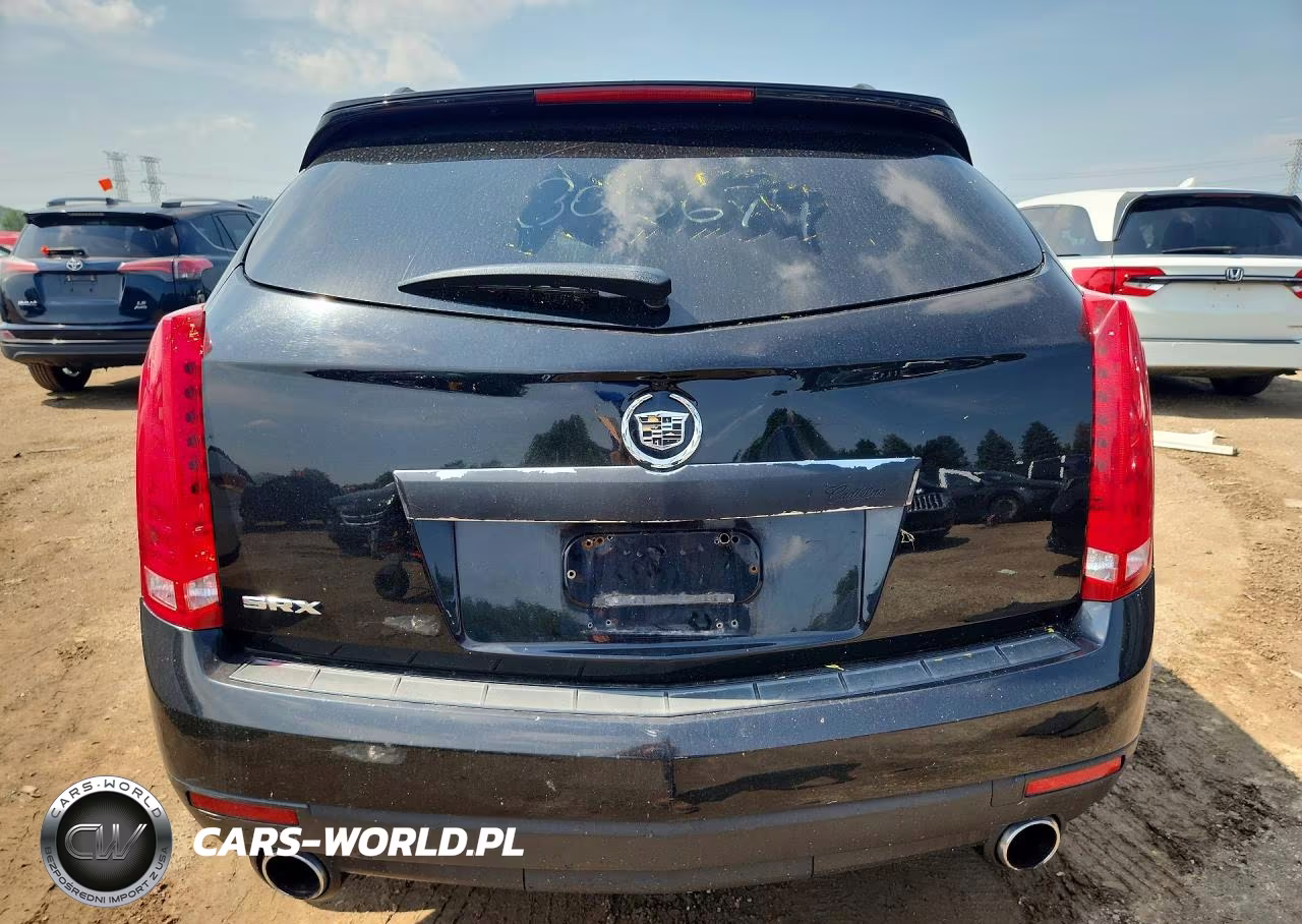 2010 Cadillac Srx VIN:3GYFNGEY9AS619283 - 6