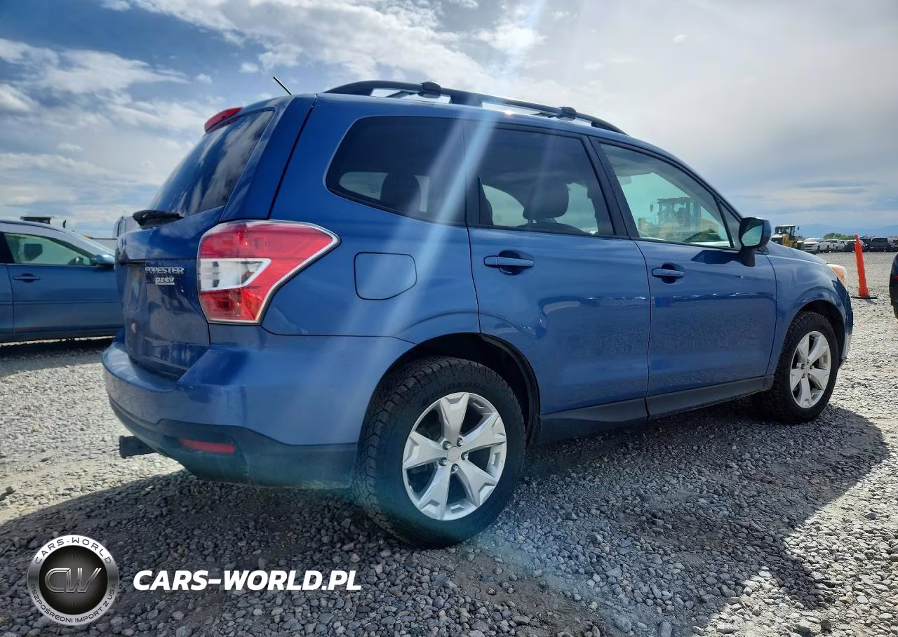 2015 Subaru Forester 2.5I Premium VIN:JF2SJADC1FH807445 - 3