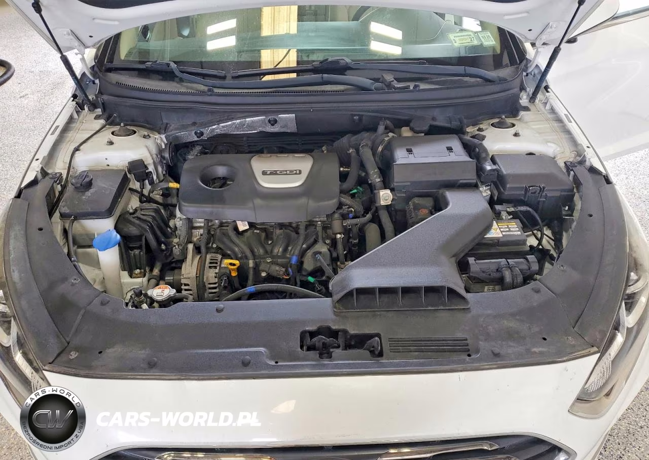 2018 Hyundai Sonata Eco VIN:5NPE24AA4JH673733 - 11