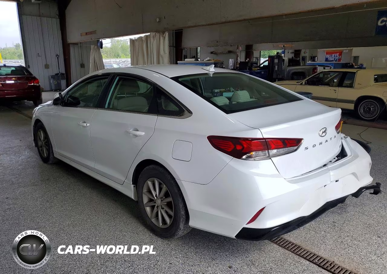 2018 Hyundai Sonata Eco VIN:5NPE24AA4JH673733 - 2