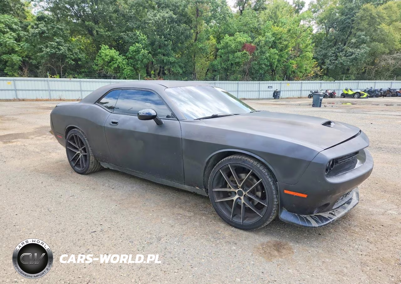 2009 Dodge Challenger R-T VIN:2B3LJ54T19H542679 - 4