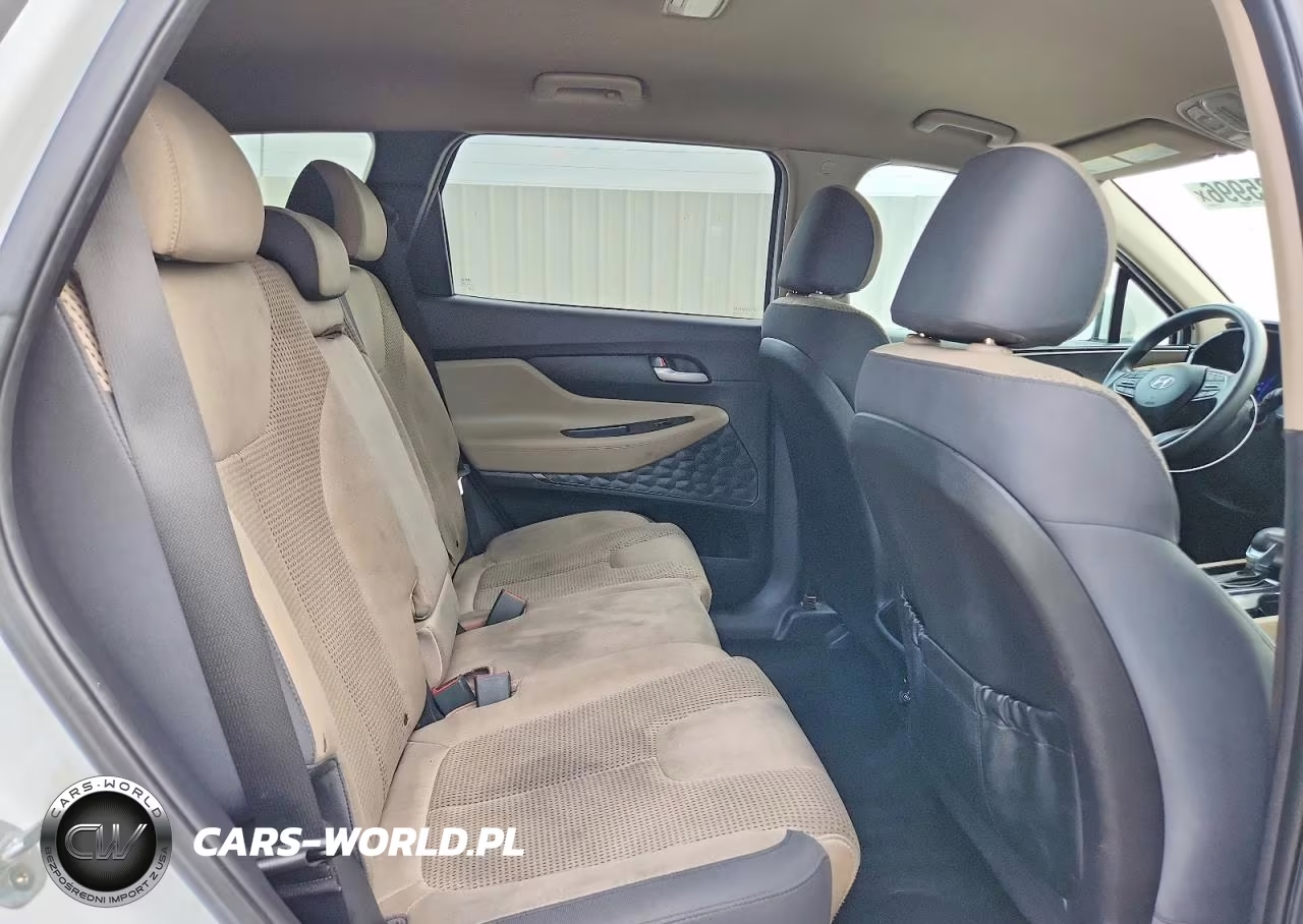 2020 Hyundai Santa Fe Sel VIN:5NMS33AD0LH249583 - 11