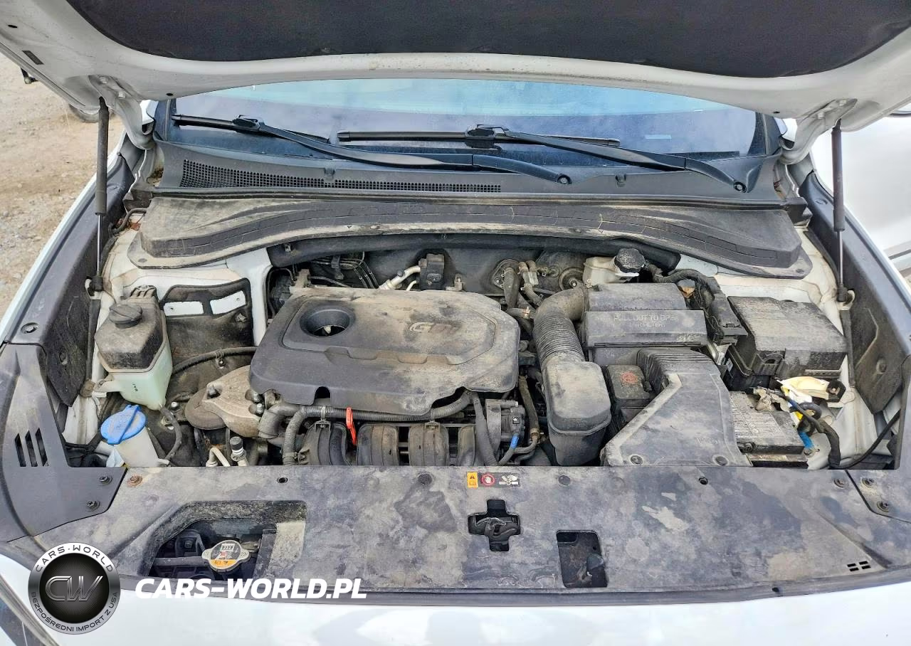 2020 Hyundai Santa Fe Sel VIN:5NMS33AD0LH249583 - 12