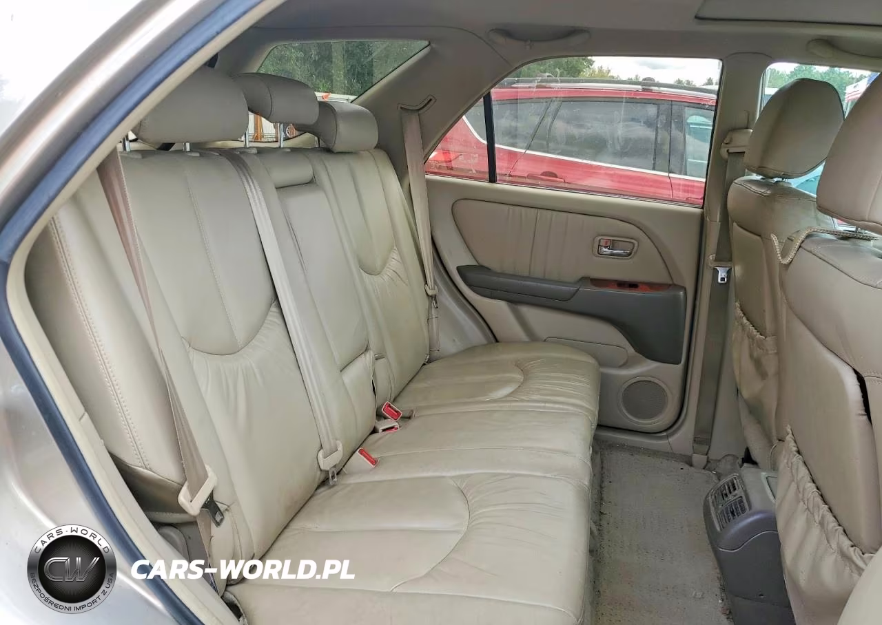 2003 Lexus Rx 300 VIN:JTJHF10U430313726 - 11