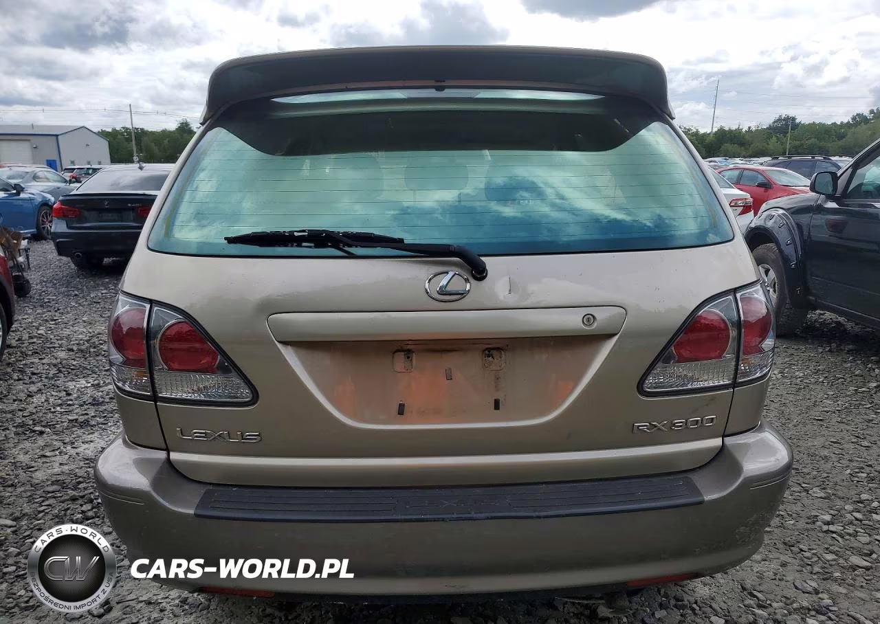 2003 Lexus Rx 300 VIN:JTJHF10U430313726 - 6