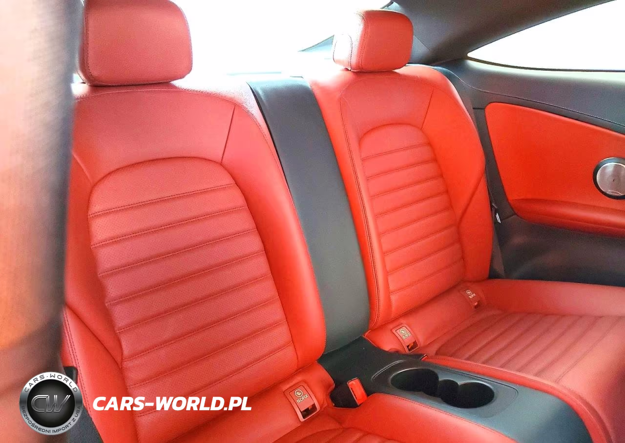 2017 Mercedes-Benz C 300 VIN:WDDWJ4JBXHF401813 - 10