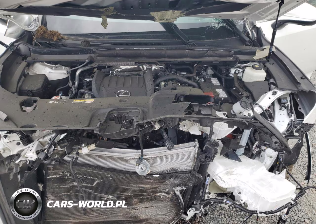 2024 Lexus Rx 350 Premium+ VIN:2T2BAMBA6RC026667 - 11
