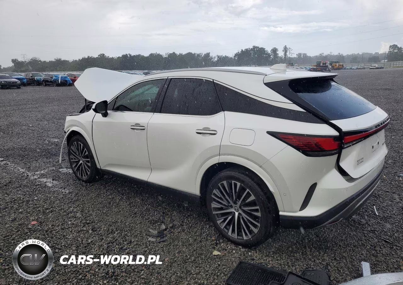 2024 Lexus Rx 350 Premium+ VIN:2T2BAMBA6RC026667 - 2