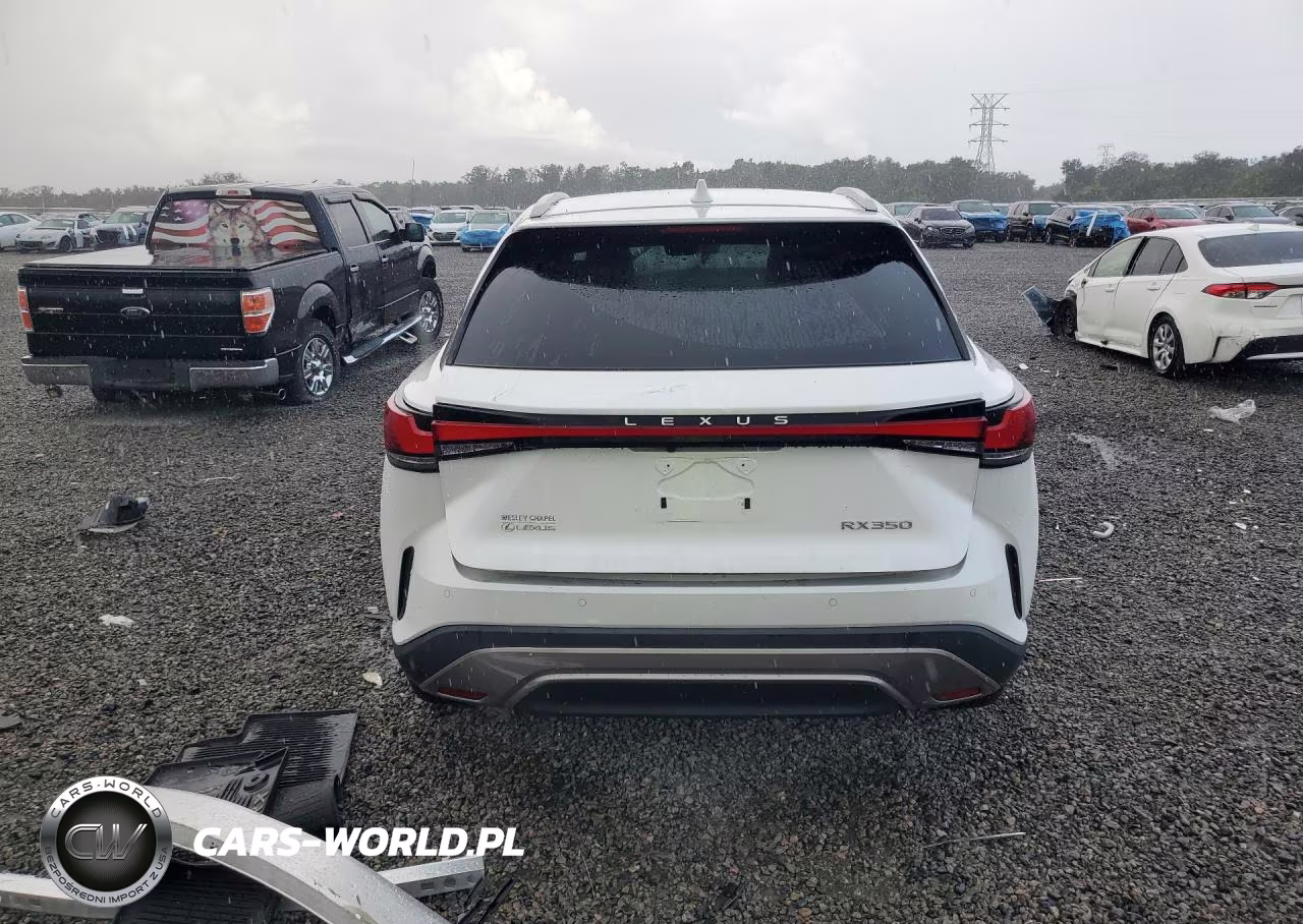 2024 Lexus Rx 350 Premium+ VIN:2T2BAMBA6RC026667 - 6