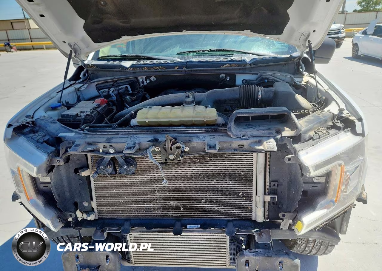 2020 Ford F150 Supercrew VIN:1FTEW1E44LKD65781 - 11
