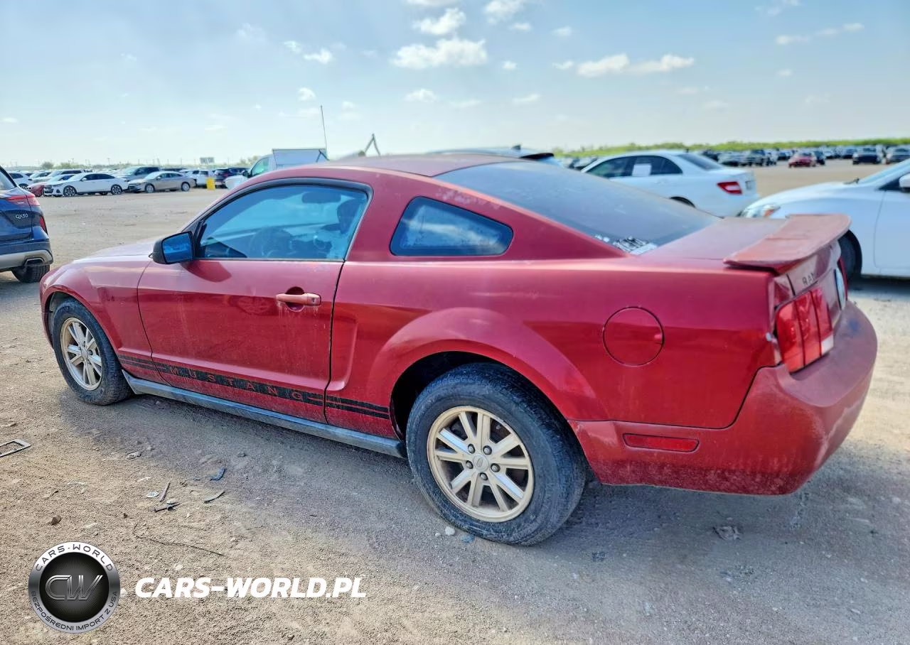 2008 Ford Mustang VIN:1ZVHT80N085111843 - 2