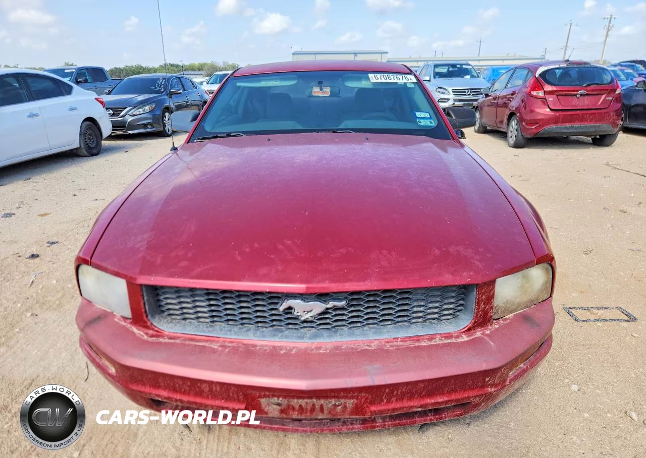 2008 Ford Mustang VIN:1ZVHT80N085111843 - 5