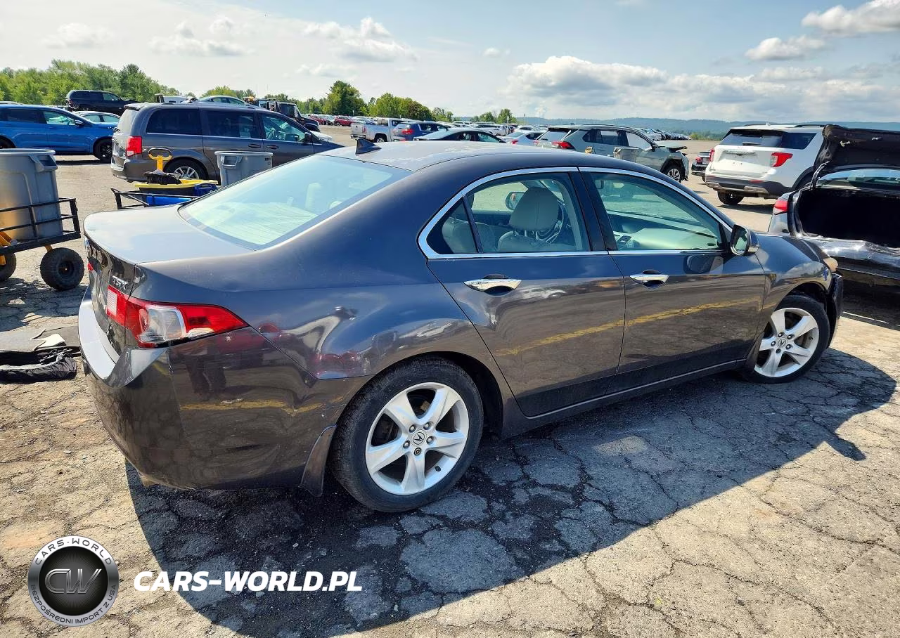 2010 Acura Tsx VIN:JH4CU2F69AC031075 - 3