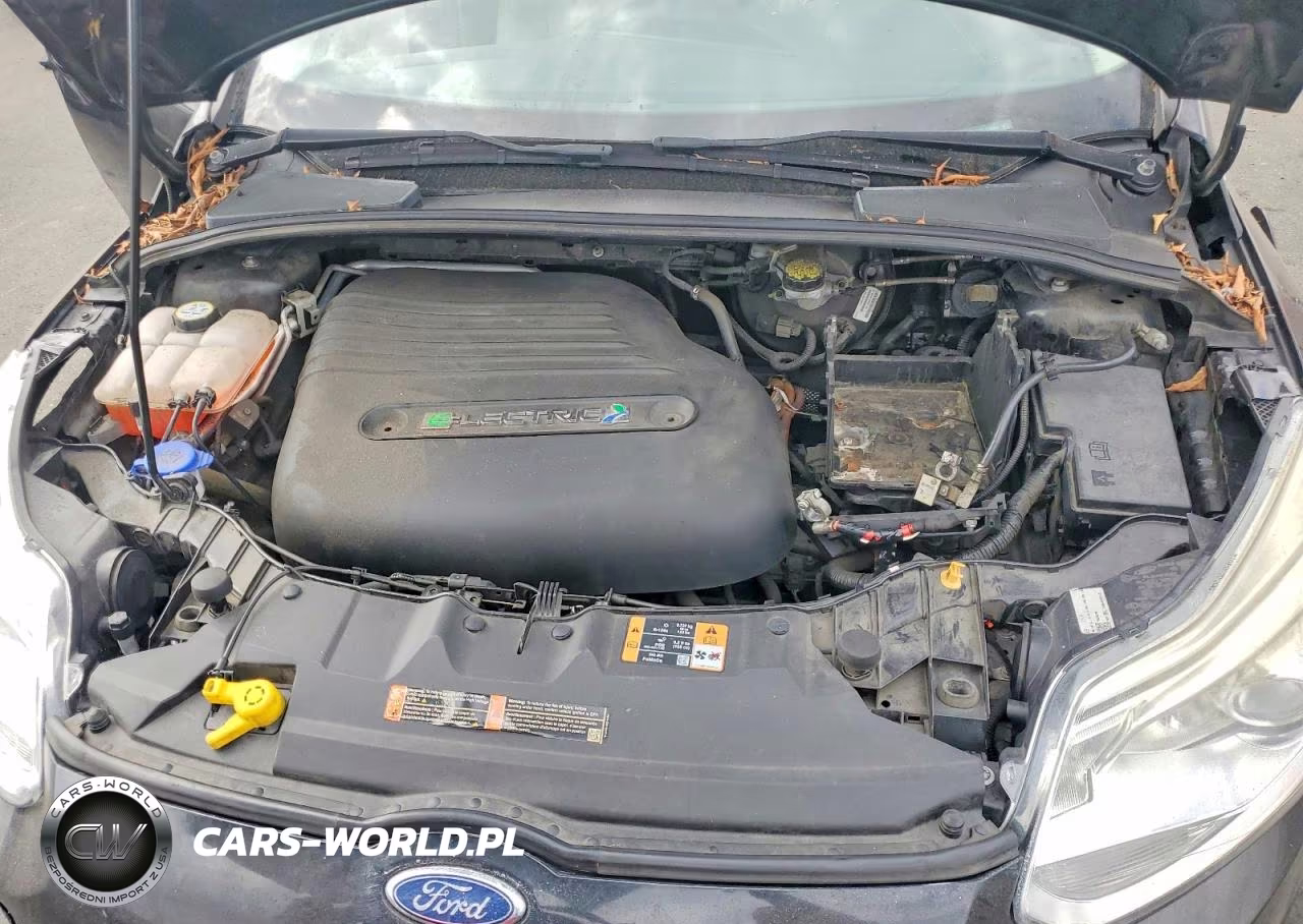 2013 Ford Focus VIN:1FADP3R42DL126004 - 11