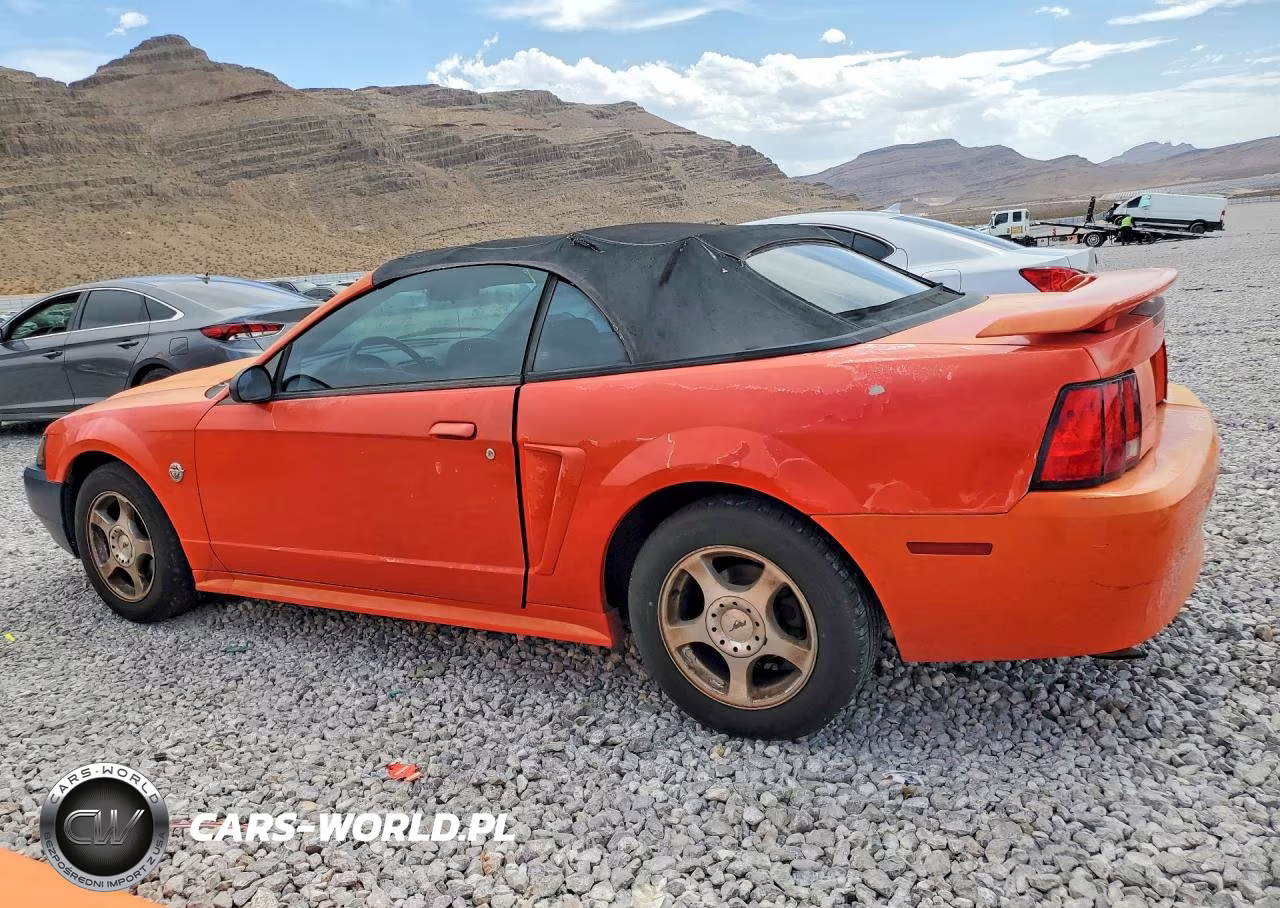 2004 Ford Mustang VIN:1FAFP44604F197482 - 2