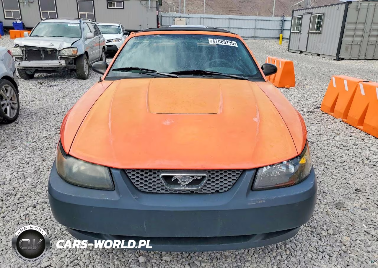 2004 Ford Mustang VIN:1FAFP44604F197482 - 5