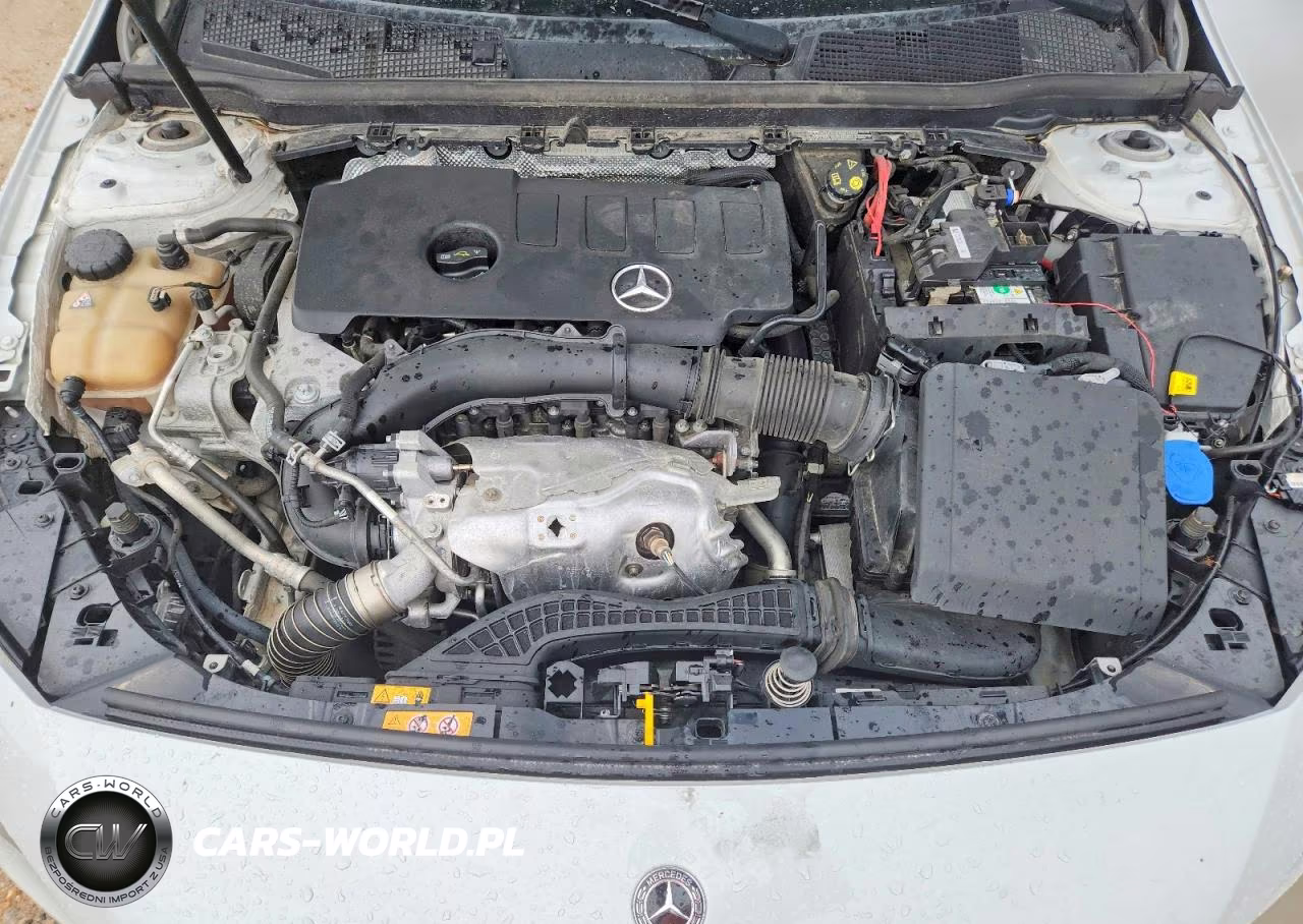 2020 Mercedes-Benz A 220 4Matic VIN:WDD3G4FB6LW036498 - 11