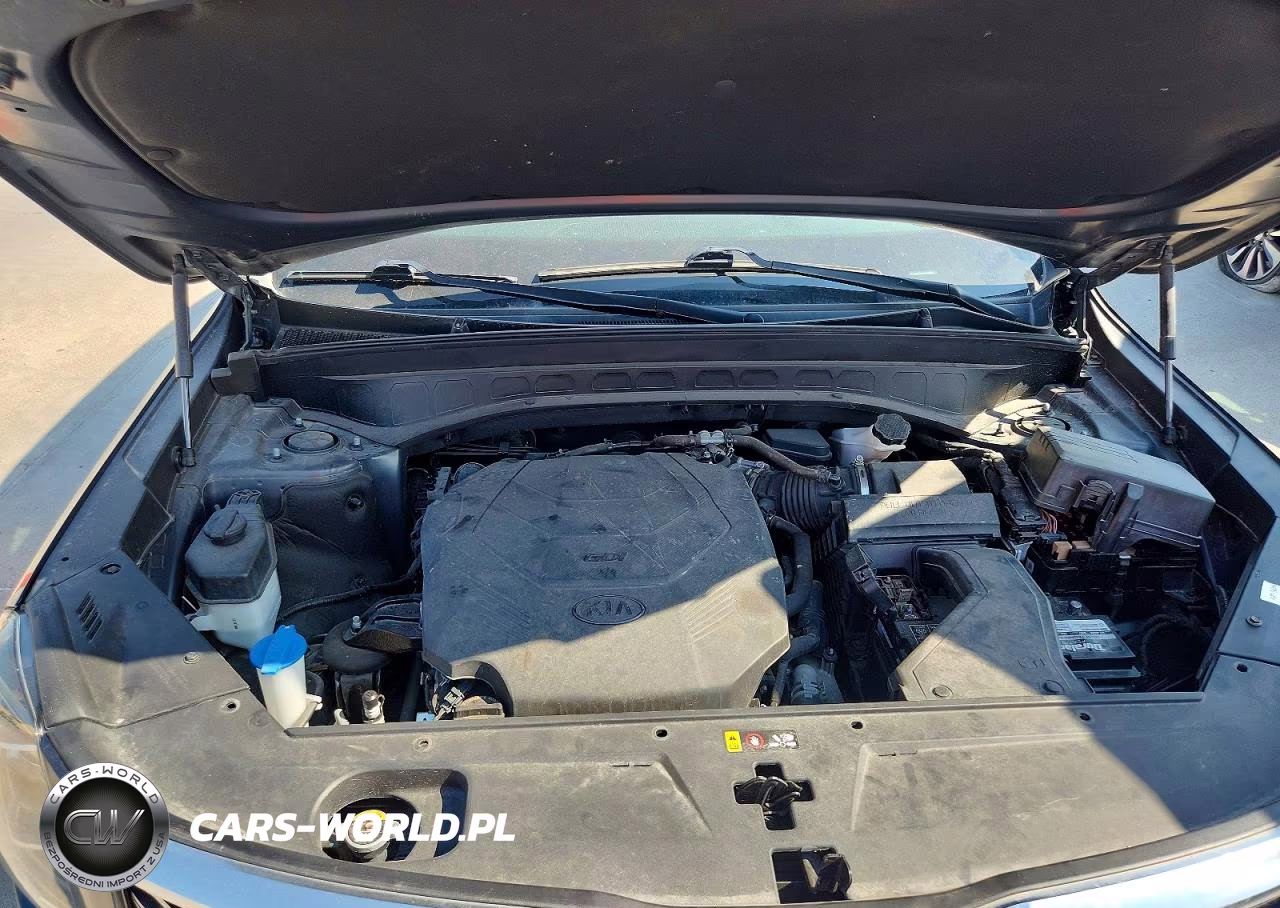 2020 Kia Telluride Ex VIN:5XYP34HCXLG027068 - 12