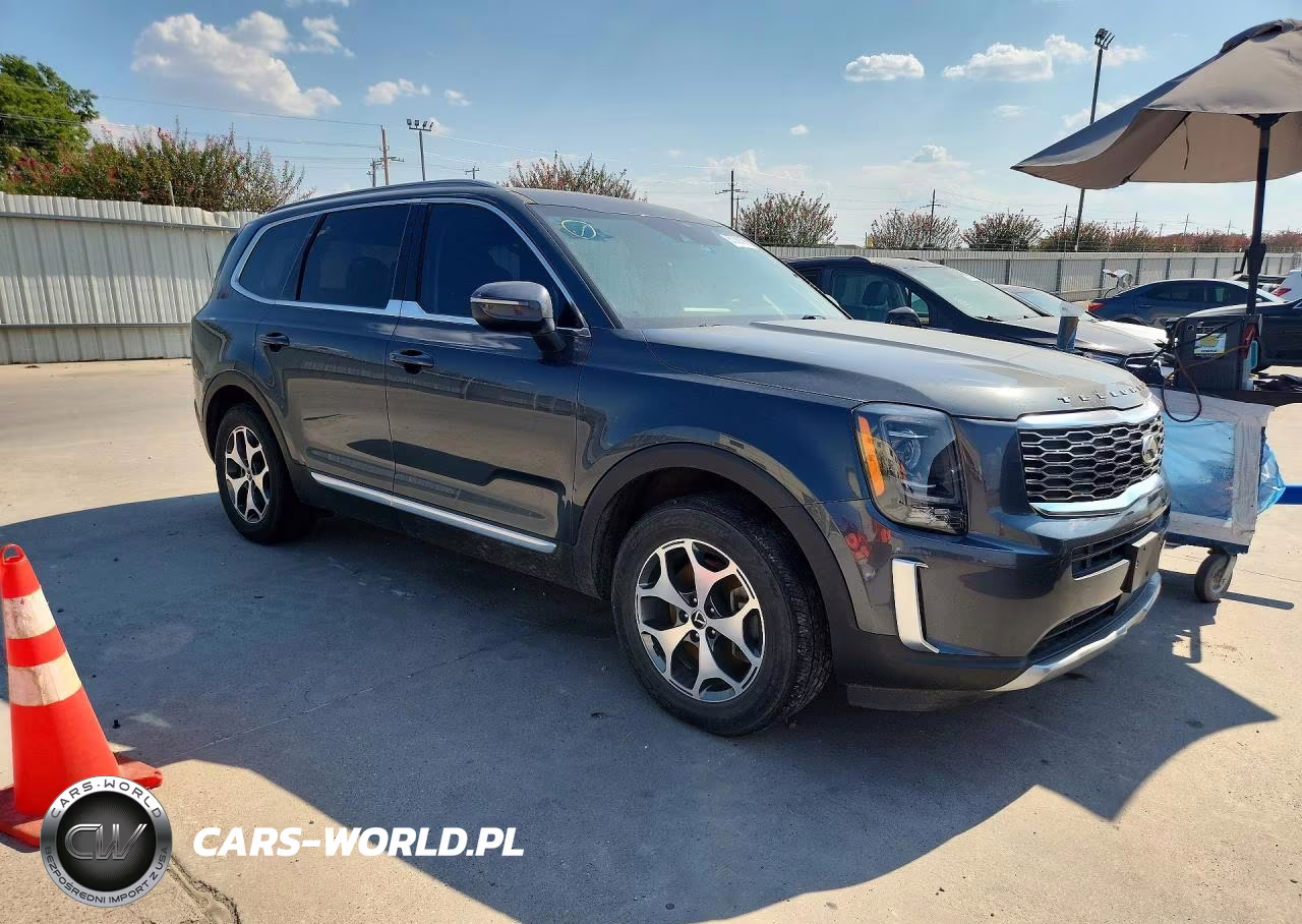 2020 Kia Telluride Ex VIN:5XYP34HCXLG027068 - 4