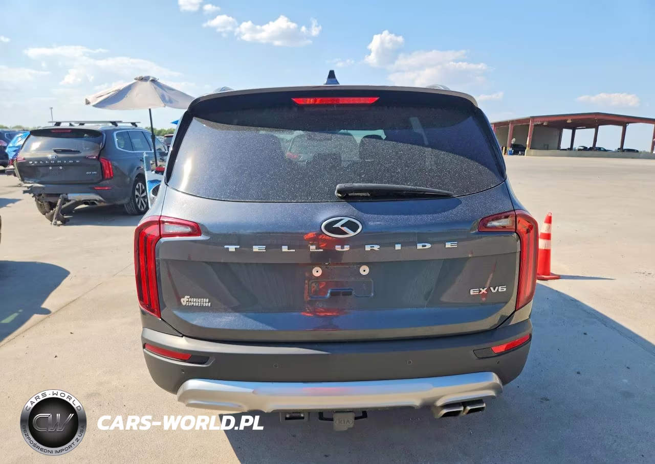 2020 Kia Telluride Ex VIN:5XYP34HCXLG027068 - 6