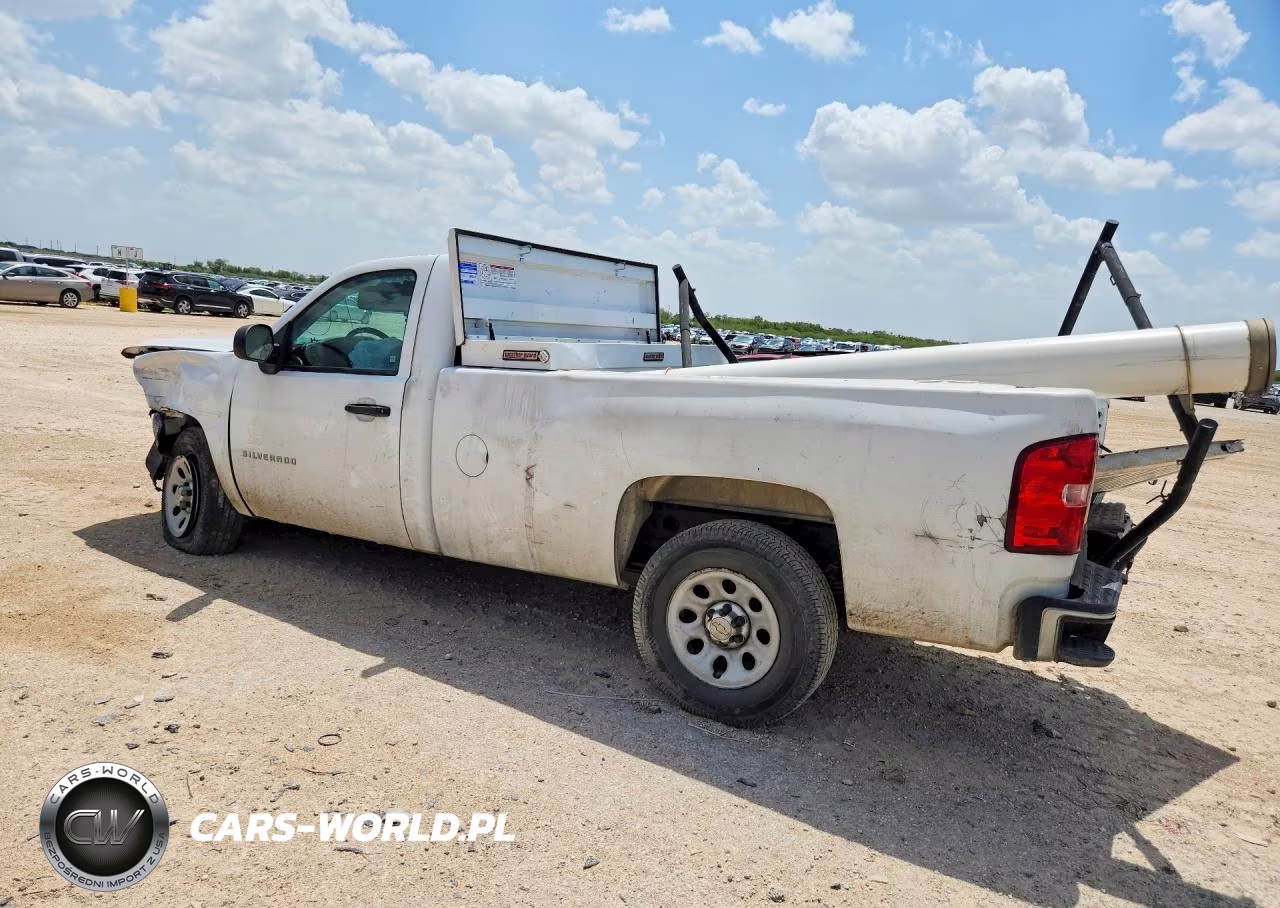 2013 Chevrolet Silverado C1500 VIN:1GCNCPEX9DZ110719 - 2