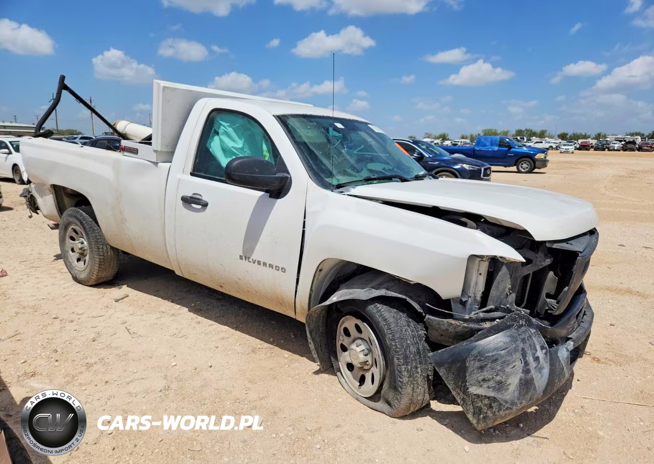 2013 Chevrolet Silverado C1500 VIN:1GCNCPEX9DZ110719 - 4