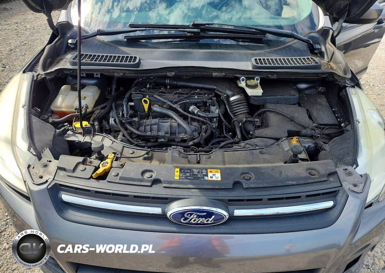 2013 Ford Escape Se VIN:1FMCU9GX7DUC38656 - 12