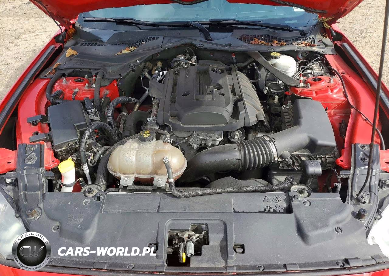 2019 Ford Mustang VIN:1FATP8UH7K5158841 - 11