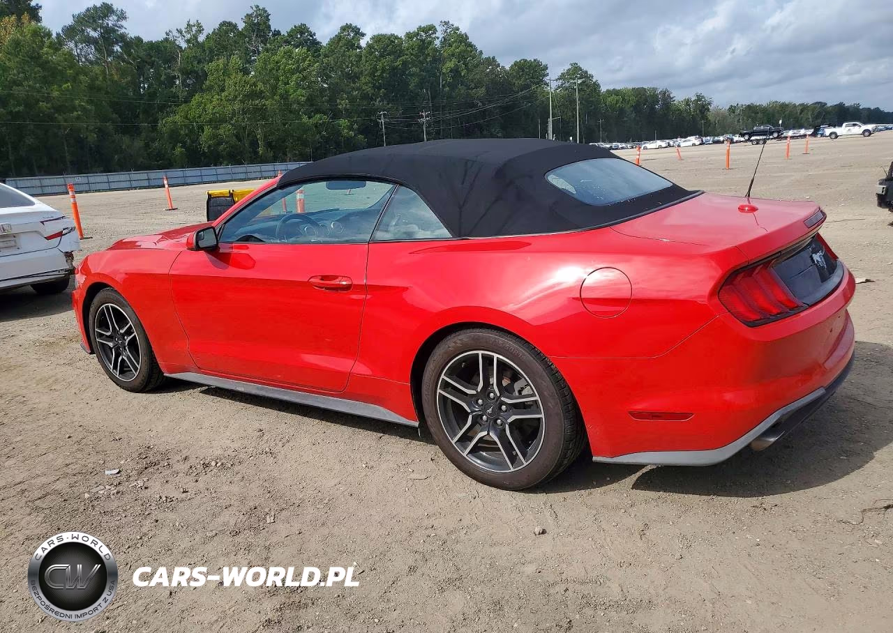 2019 Ford Mustang VIN:1FATP8UH7K5158841 - 2