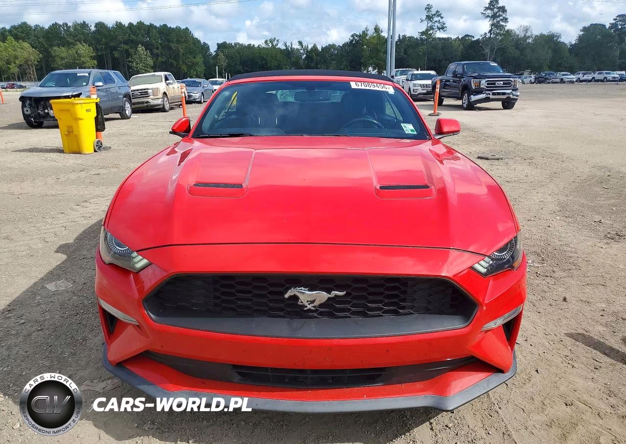 2019 Ford Mustang VIN:1FATP8UH7K5158841 - 5