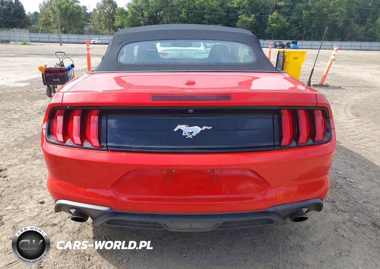 2019 Ford Mustang VIN:1FATP8UH7K5158841 - 6