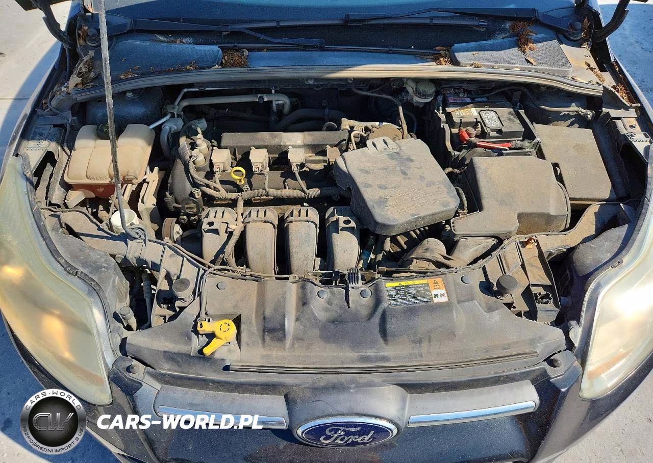 2014 Ford Focus Se VIN:1FADP3F29EL249044 - 11