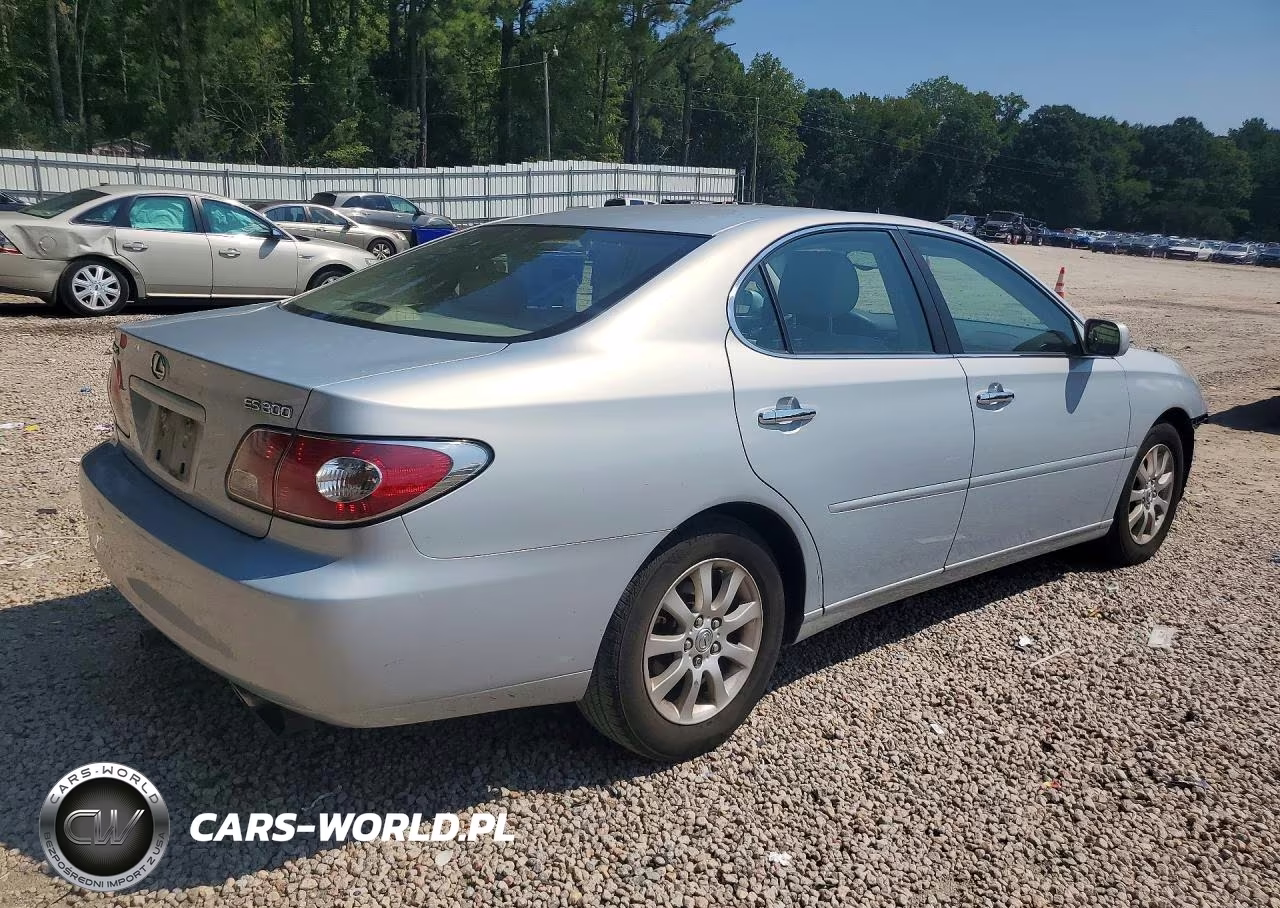 2002 Lexus Es 300 VIN:JTHBF30G025032618 - 3