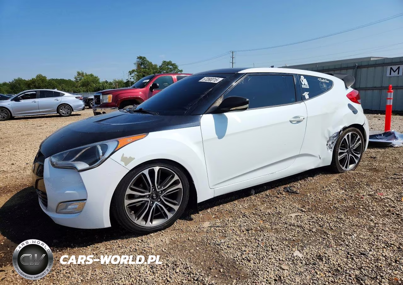 2013 Hyundai Veloster Base VIN:KMHTC6AD1DU123907 - 1
