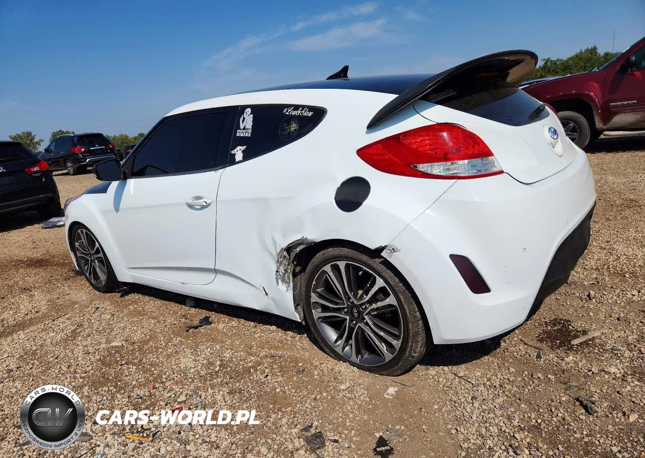 2013 Hyundai Veloster Base VIN:KMHTC6AD1DU123907 - 2