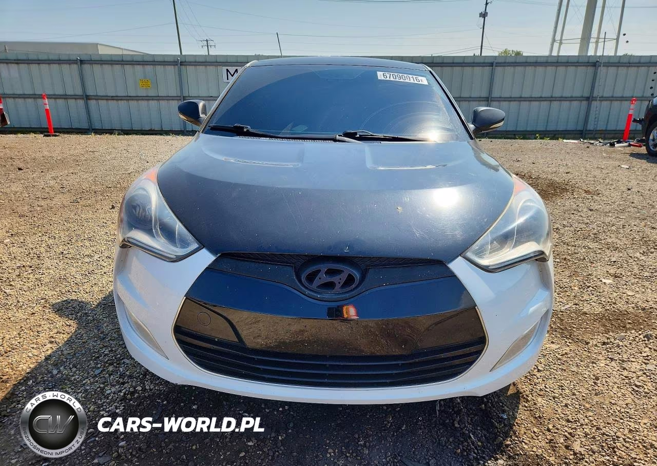 2013 Hyundai Veloster Base VIN:KMHTC6AD1DU123907 - 5