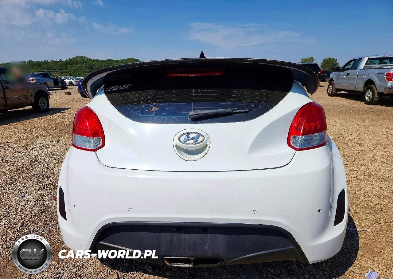 2013 Hyundai Veloster Base VIN:KMHTC6AD1DU123907 - 6