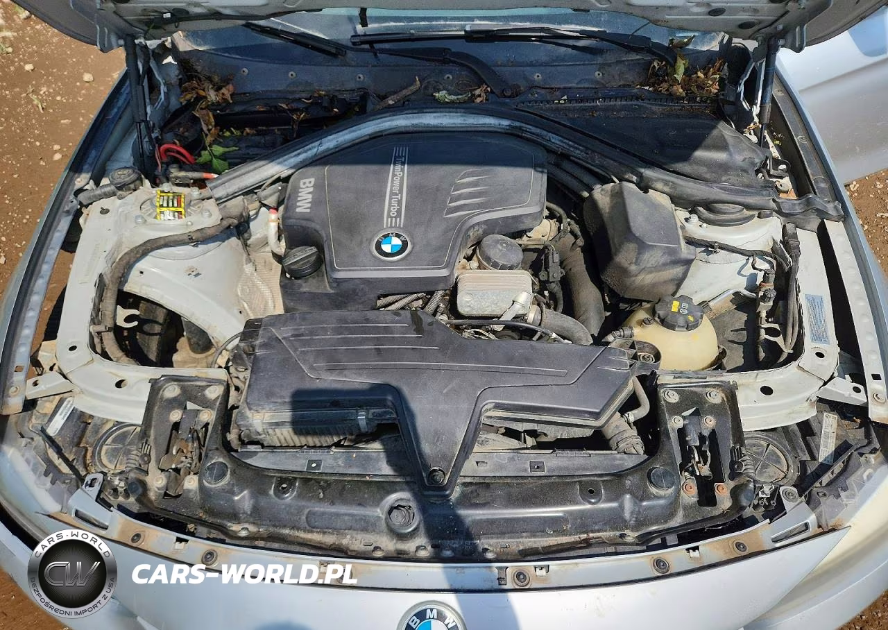 2014 BMW 320 I VIN:WBA3B1G56ENS80125 - 11
