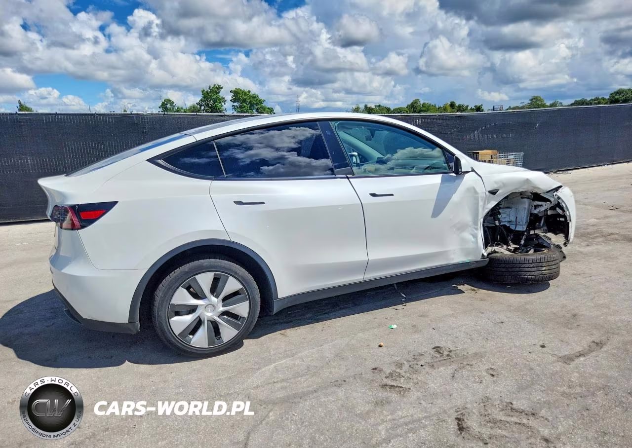 2023 Tesla Model Y VIN:7SAYGDEE1PF765288 - 3