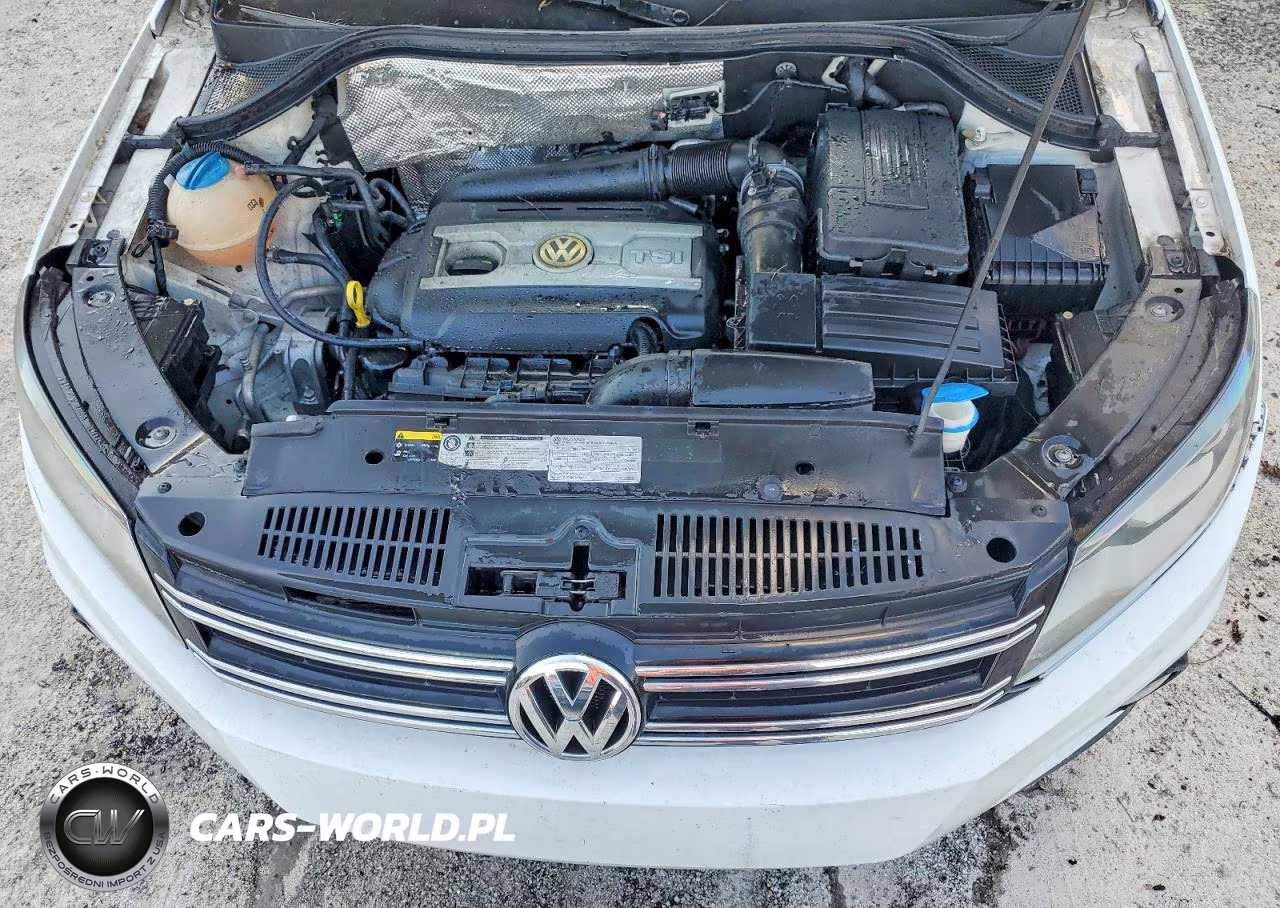 2016 Volkswagen Tiguan S VIN:WVGAV7AX4GW589874 - 12