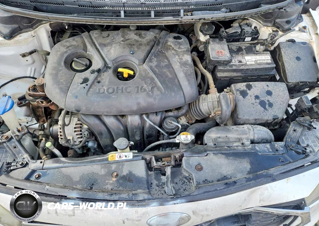 2014 Kia Forte Lx VIN:KNAFK4A69E5067685 - 11