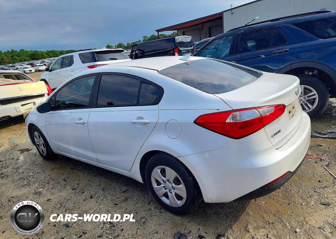 2014 Kia Forte Lx VIN:KNAFK4A69E5067685 - 2
