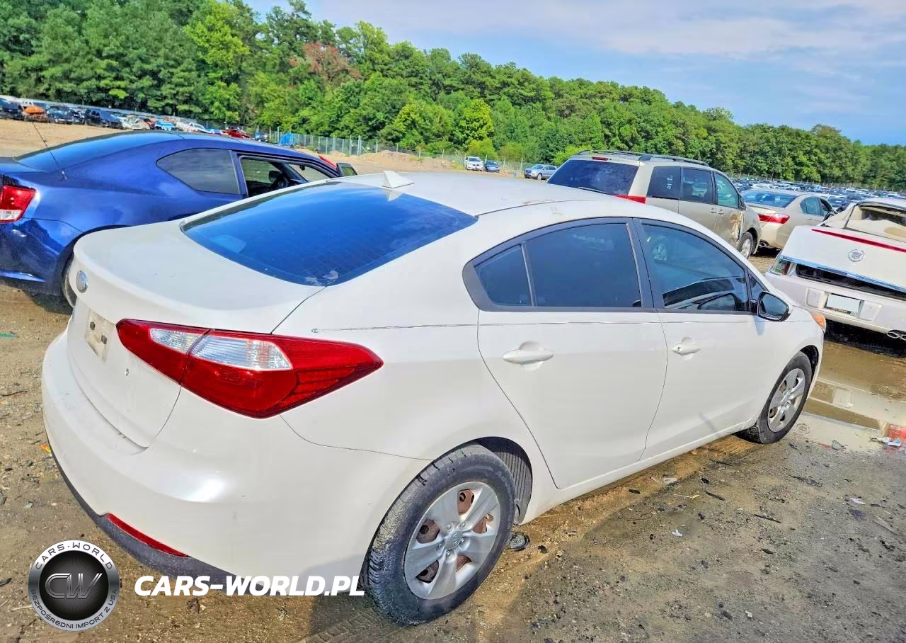 2014 Kia Forte Lx VIN:KNAFK4A69E5067685 - 3