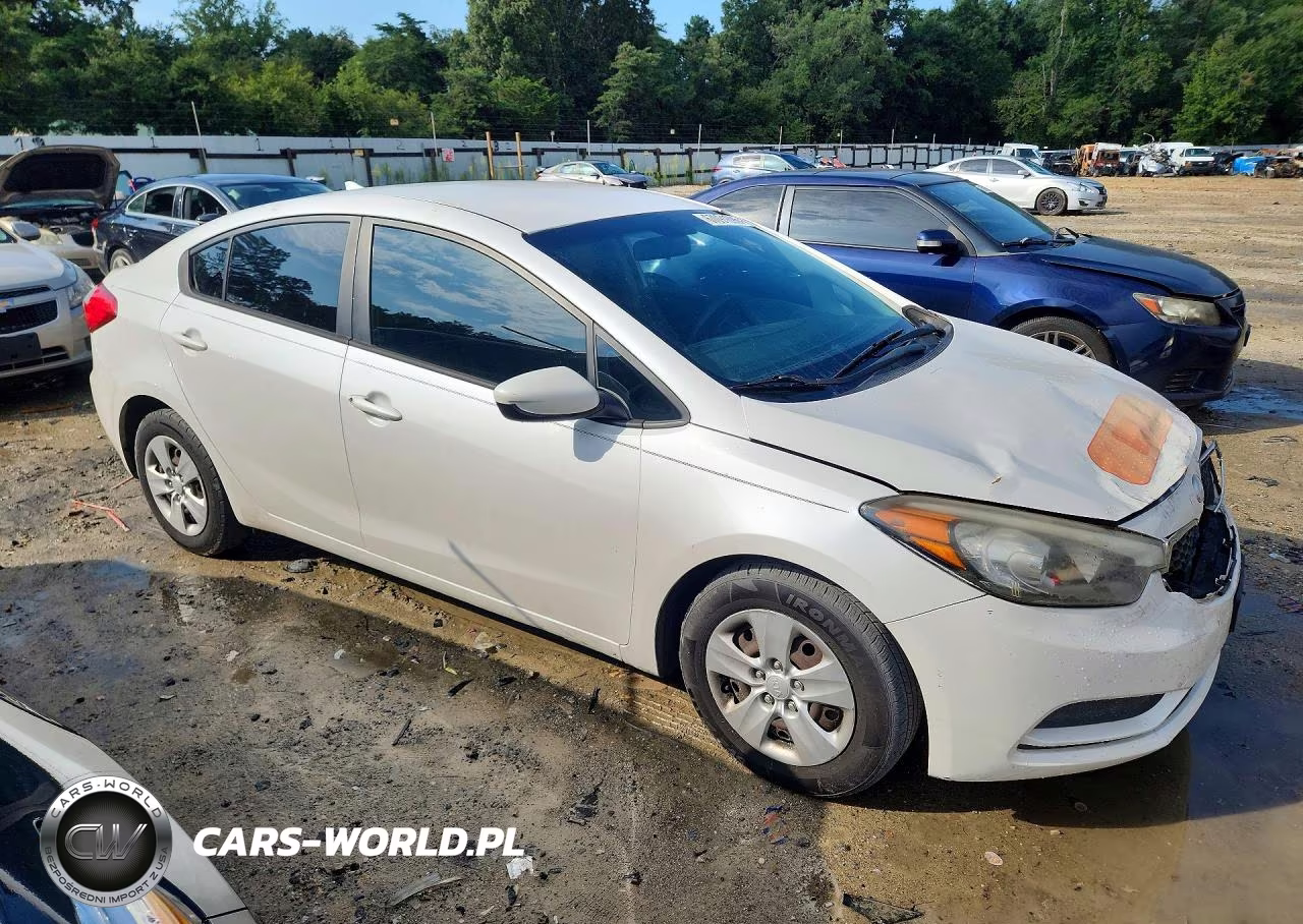 2014 Kia Forte Lx VIN:KNAFK4A69E5067685 - 4