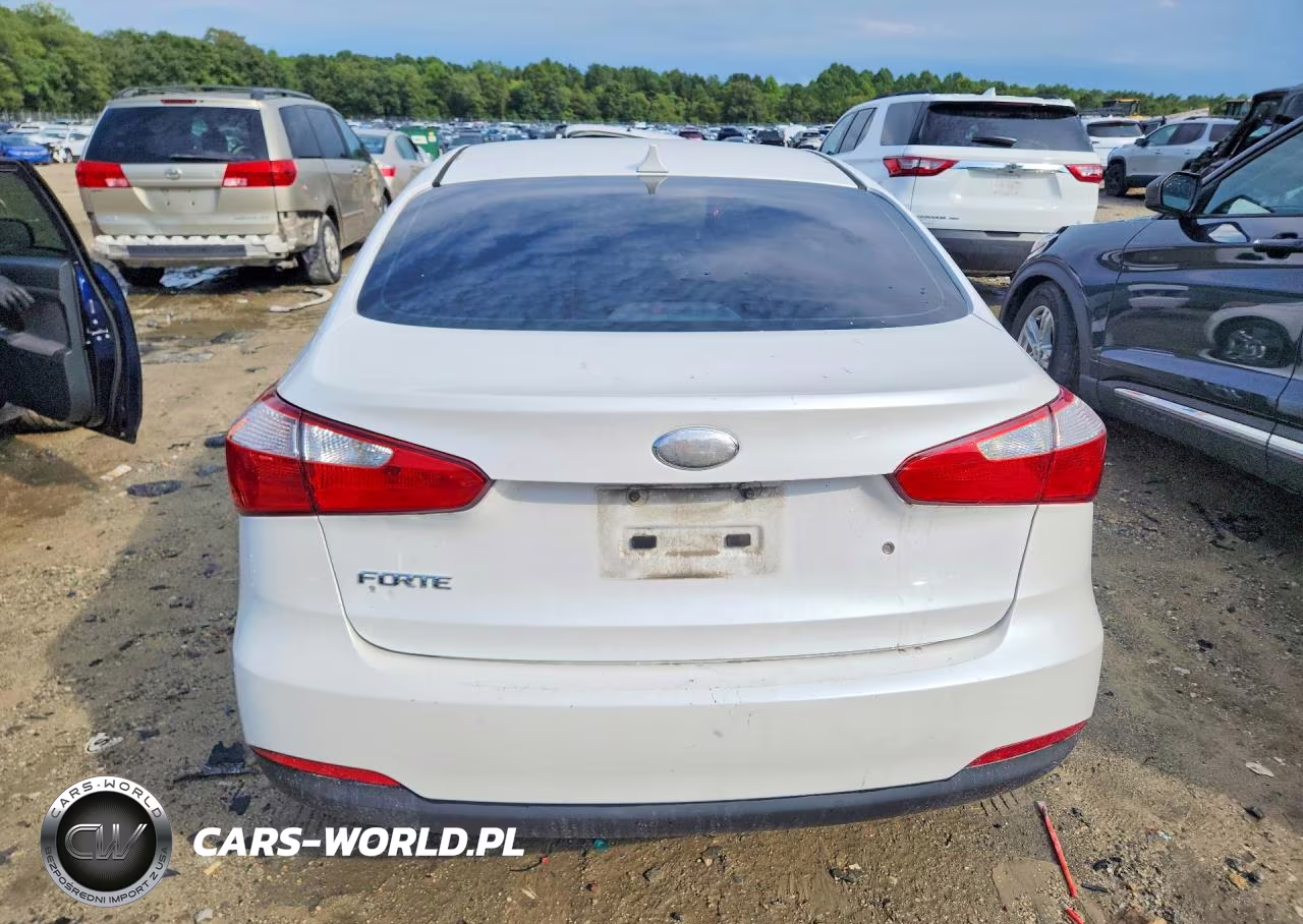 2014 Kia Forte Lx VIN:KNAFK4A69E5067685 - 6