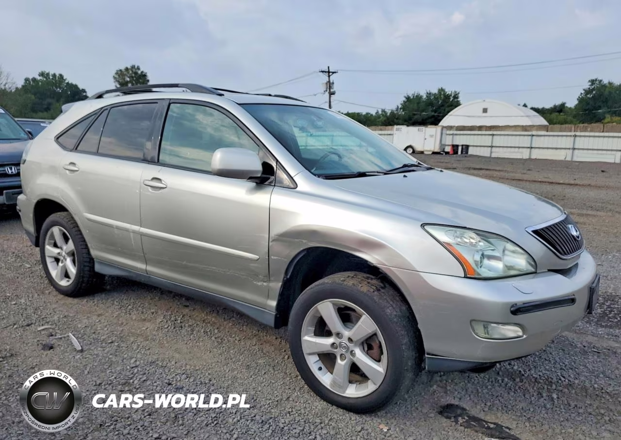 2004 Lexus Rx 330 VIN:2T2HA31UX4C031234 - 4
