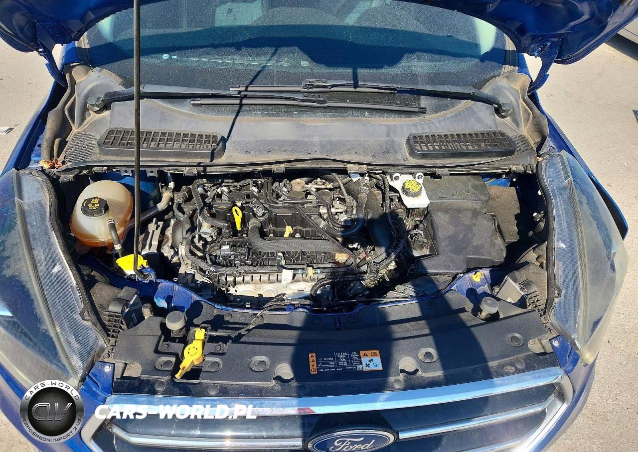 2019 Ford Escape Se VIN:1FMCU9GD9KUB60528 - 11